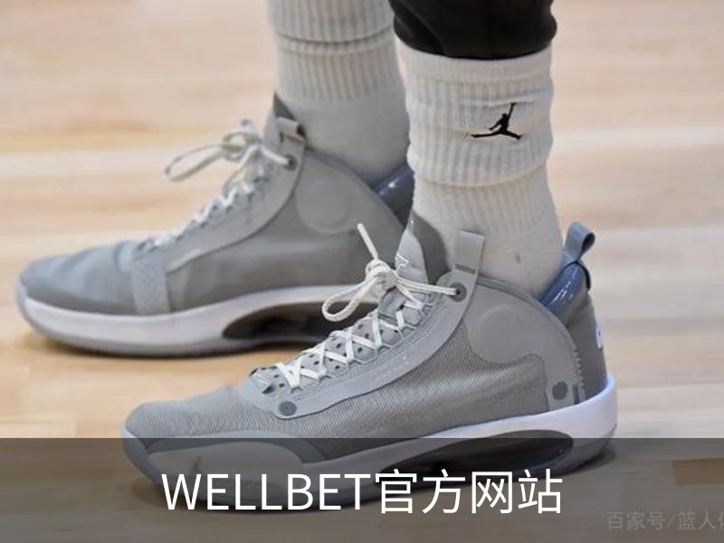 关于WELLBET官方网站